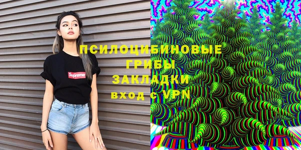 шишки Новозыбков