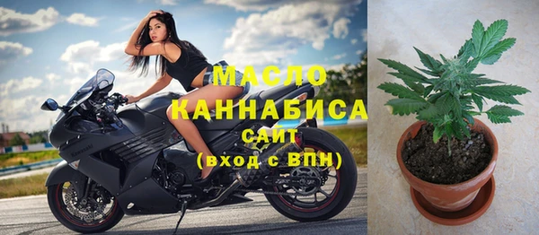 шишки Новозыбков
