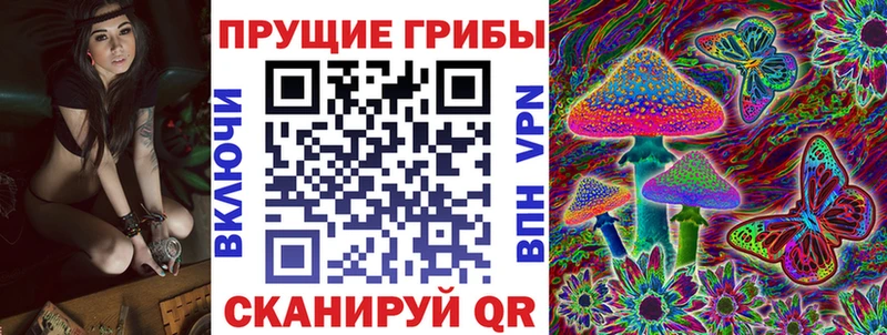 Псилоцибиновые грибы Psilocybine cubensis  Бородино 
